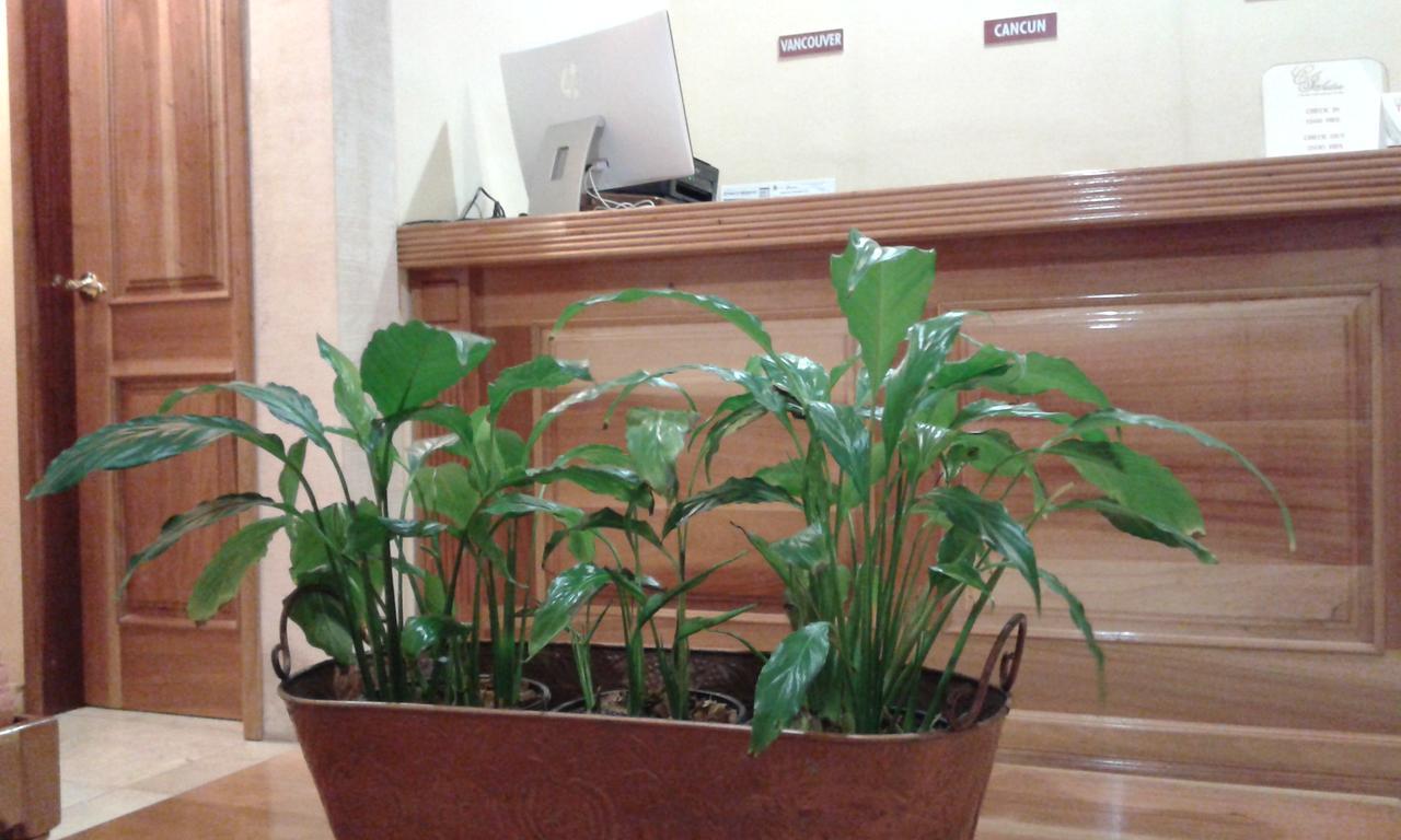 Cancun International Suites Buitenkant foto